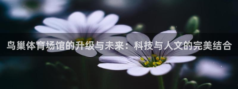 尊龙凯时人生就是博·(中国)官网最新