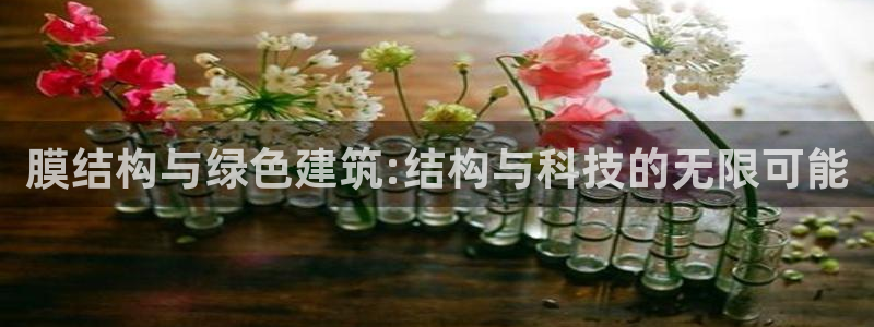 尊龙手机版