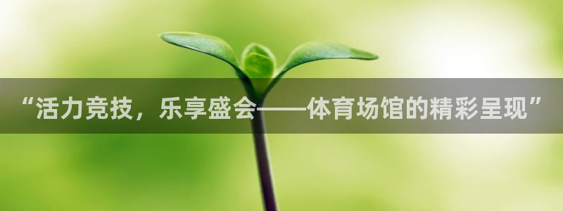 尊龙官网下载