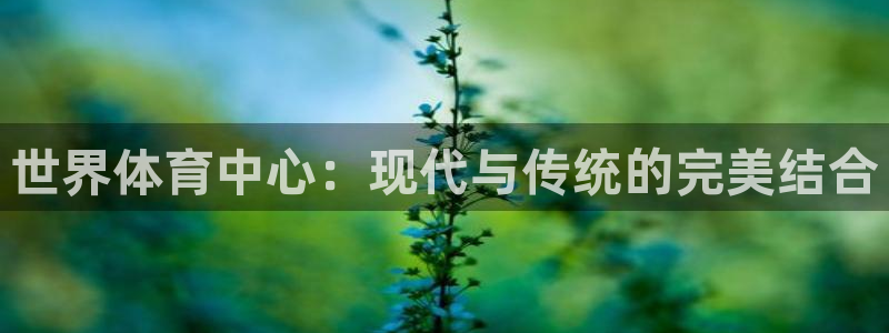 尊龙官网国际