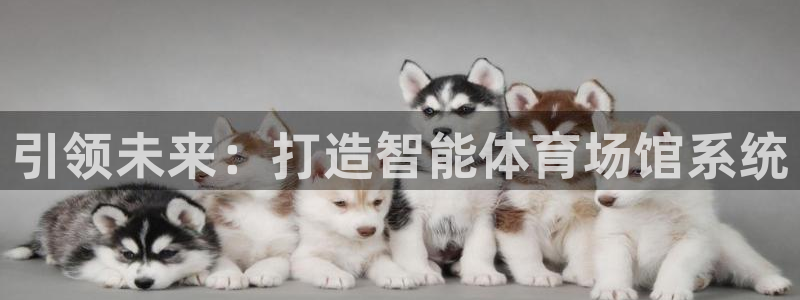 尊龙D88现金旧版