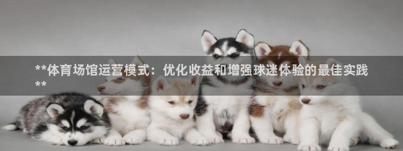 尊龙集团：**体育场馆运营模式：优化收益和增强球迷体验的最佳