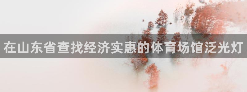 凯时kb88官网网址：在山东省查找经济实惠的体育场馆泛光灯