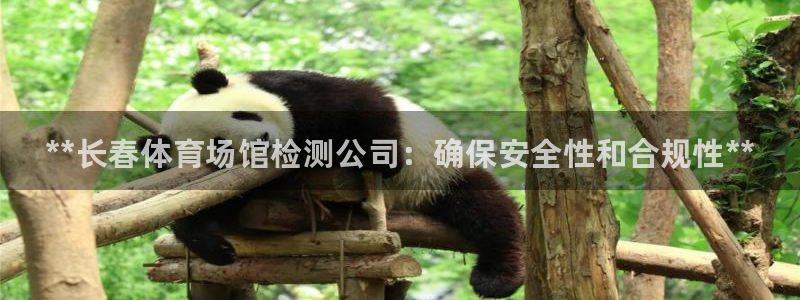 尊龙中国：**长春体育场馆检测公司：确保安全性和合规性**