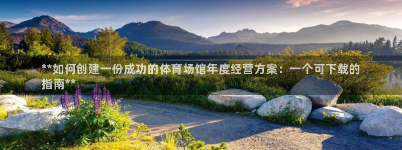 凯时游戏app：**如何创建一份成功的体育场馆年度经营方案：